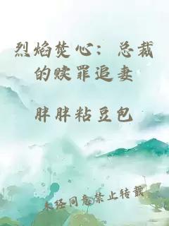 烈焰焚心：总裁的赎罪追妻