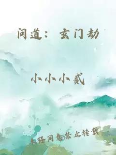 问道：玄门劫