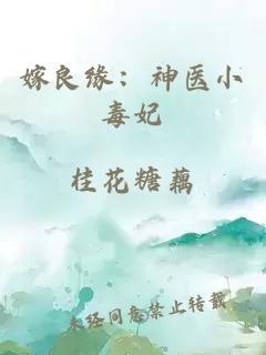 嫁良缘：神医小毒妃