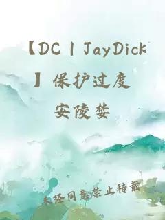 【DC｜JayDick】保护过度