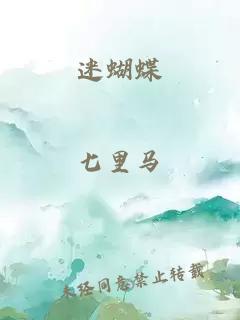 迷蝴蝶