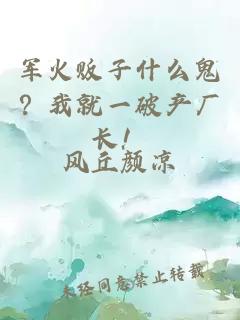 军火贩子什么鬼？我就一破产厂长！