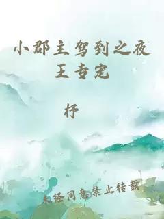 小郡主驾到之夜王专宠
