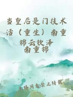 当皇后是门技术活（重生）南重锦云钦泽
