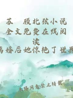 苏婳顾北弦小说全文免费在线阅读