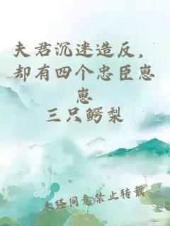 夫君沉迷造反，却有四个忠臣崽崽