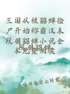 三国从被貂蝉捡尸开始称霸汉末段羽貂蝉小说全本免费阅读