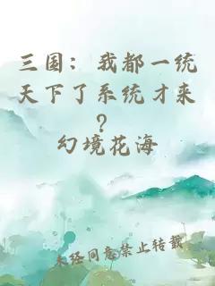 三国：我都一统天下了系统才来？