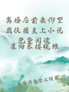 离婚后前妻仰望我扶摇直上小说免费阅读