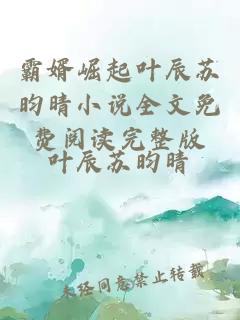 霸婿崛起叶辰苏昀晴小说全文免费阅读完整版