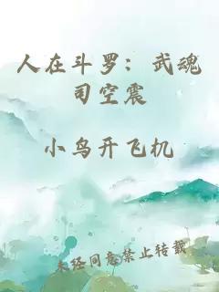 人在斗罗：武魂司空震