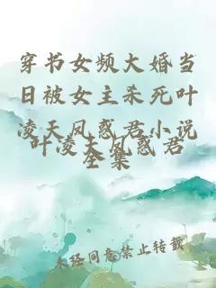 穿书女频大婚当日被女主杀死叶凌天凤惑君小说全集