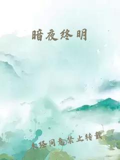 暗夜终明