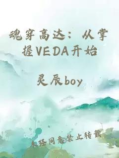 魂穿高达：从掌握VEDA开始