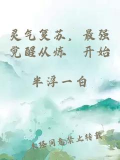 灵气复苏，最强觉醒从炼炁开始