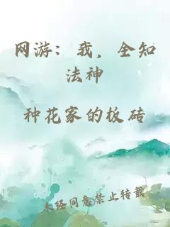 网游：我，全知法神