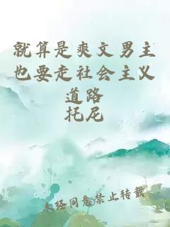 就算是爽文男主也要走社会主义道路