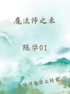 魔法师之录