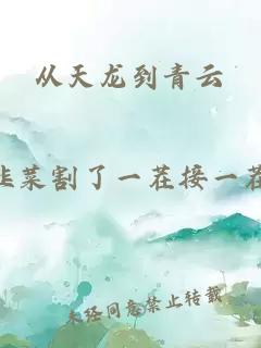从天龙到青云
