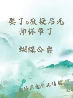 娶了o教授后元帅怀孕了