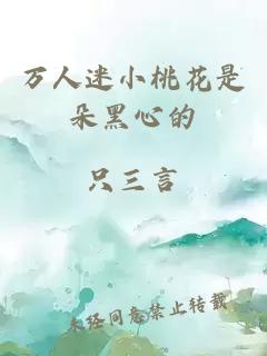 万人迷小桃花是朵黑心的