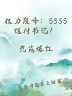 权力巅峰：SSSS级村书记！