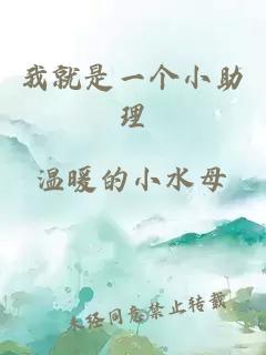 我就是一个小助理