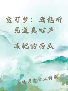 宝可梦：我能听见道具心声