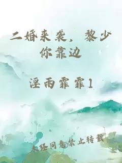 二婚来袭，黎少你靠边