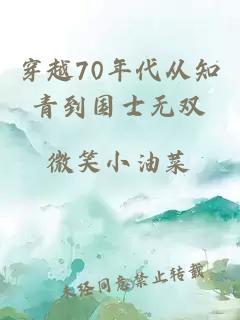 穿越70年代从知青到国士无双