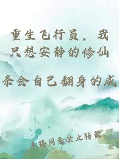 重生飞行员，我只想安静的修仙