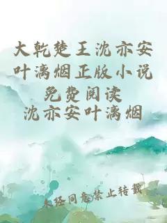 大乾楚王沈亦安叶漓烟正版小说免费阅读