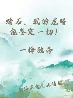 赌石，我的龙瞳能鉴定一切！