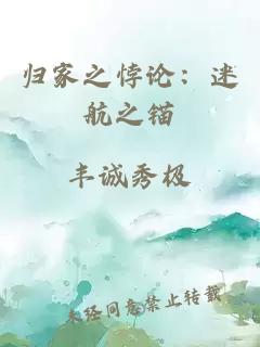 归家之悖论：迷航之锚