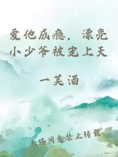 爱他成瘾，漂亮小少爷被宠上天