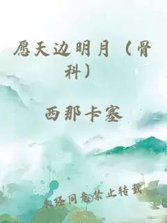 愿天边明月（骨科）