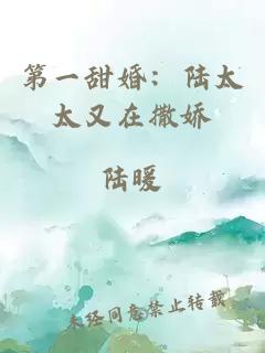第一甜婚：陆太太又在撒娇