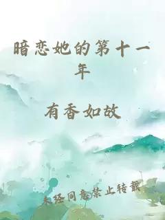暗恋她的第十一年