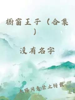 橱窗王子（合集）