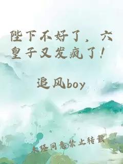 陛下不好了，六皇子又发疯了！