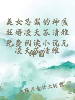 美女总裁的神医狂婿凌天苏清雅免费阅读小说无弹窗