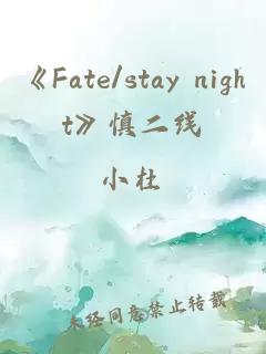 《Fate/stay night》慎二线。