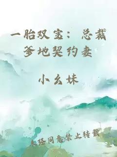 一胎双宝：总裁爹地契约妻